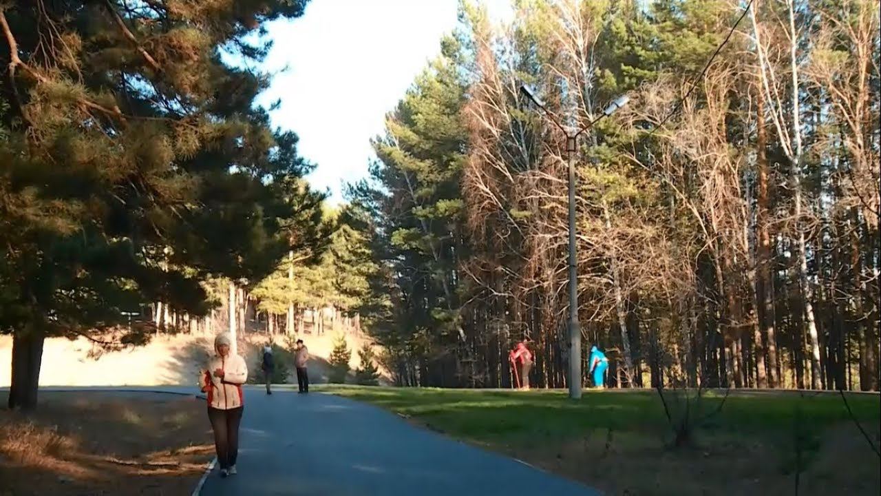 Бийск аб. Парк на аб Бийск. Фото Бийска район аб. Лесопарковая зона на аб. Район аб Бийск 1994 год.