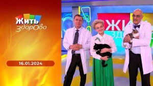 Жить здорово! Выпуск от 16.01.2024