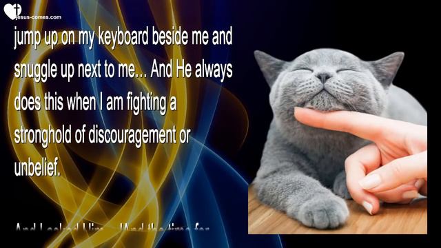 Don't waste Time with prophetic Gossip and false Humility... Help Me ❤️ Love Letter from Jesus смотреть онлайн