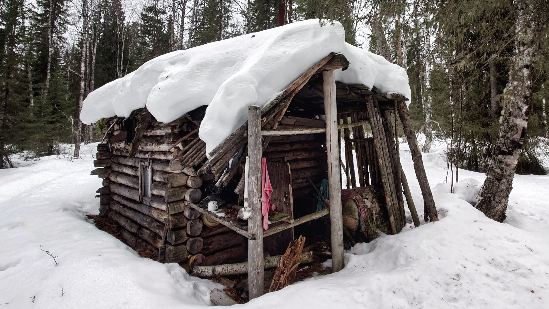 Лесная избушка
