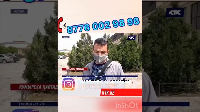 Термитке карсы у,сары кумырска,термит смотреть онлайн