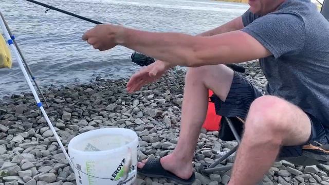 Сазан на Макушатник | На природе УХА и Жаренный САЗАН смотреть онлайн