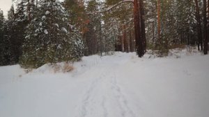 Улан-Удэ, Верхняя Березовка, зимняя прогулка