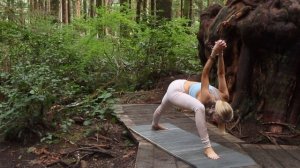 30 Min Full Body Flow | Yoga To Stretch, Breathe, & Feel The Bliss