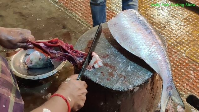 Big Hilsa Fish (Ilish) Cutting In Fish Market | Fish Cutting Videos | Fish Cutting Skills смотреть онлайн