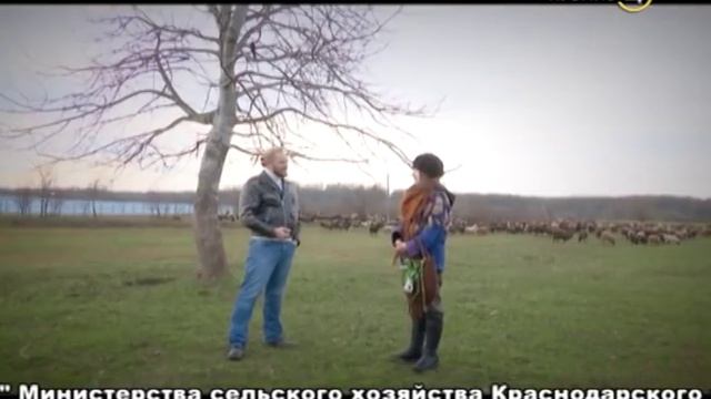 22.01.17 «Своя ферма». Бараны смотреть онлайн