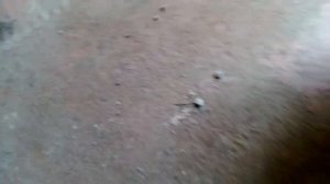 Замена передних колодок на SYM GTS300i/Joymax300 2014