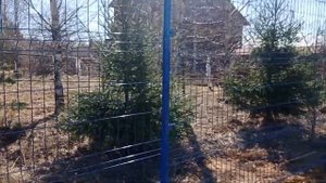 Монтаж 3-D забора из сварной сетки в д. Хопылево Рыбинский район