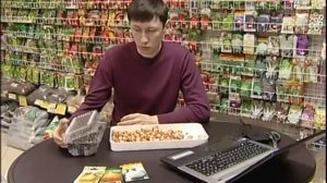 Выращиваем крупный лук из семян за один сезон