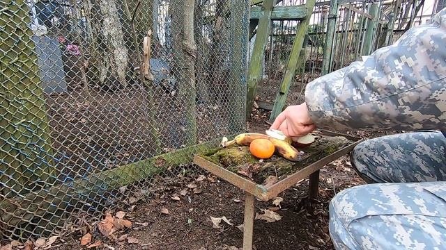 Лихачёвское кладбище. Уборщик Заброшенных могил.