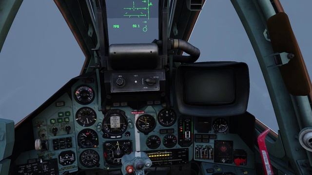 играю в DCS World