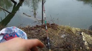 Рыбалка, на фидер весна голавль