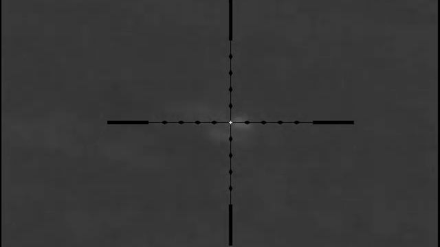 Регулирование численности. Еноты. смотреть онлайн