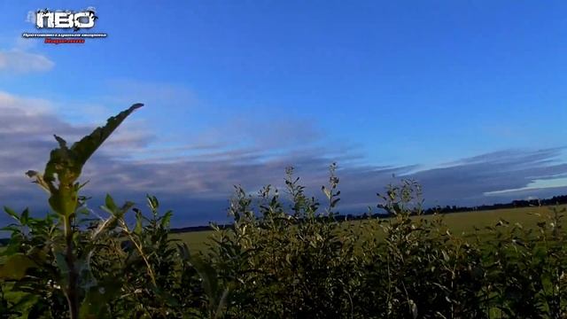 ОХОТА НА ВЯХИРЯ 2021 | ЛЕСНОЙ ГОЛУБЬ | #ОХОТАНАВЯХИРЯ смотреть онлайн