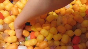 Различные животные. Детские игрушки в киндер капсулах.