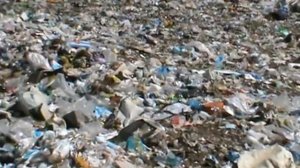 Пластмассовый мир победил...