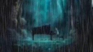 Richard Clayderman, Love Story