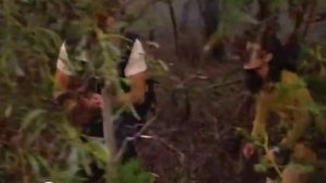 Приключения Синдбада сериал-38