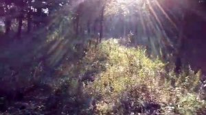 Старинное "Молоканское" кладбище.