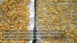 СУШЕНЫЙ ЛУК  Как высушить лук в духовке  Можно добавлять в выпечку!