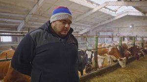 Молочная ферма с нуля | История молодого фермера | ЧАСТЬ 2 | КУЛЬТИВАТОР