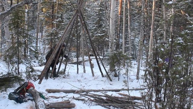 ПОСТРОИЛИ ДОМ В ЛЕСУ | ВСТРЕТИЛИ ДИКОГО ЗВЕРЯ | НАШЕ ЛЕСНОЕ УКРЫТИЕ