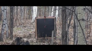 Anarchy самая бюджетная стрела из карбона