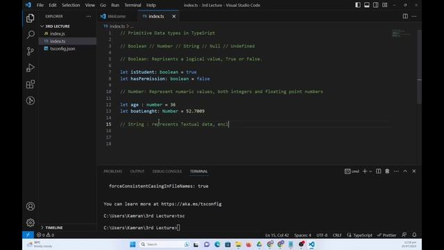What are TypeScript Primitive Data Types - Explained with Examples on TypeScript Insights