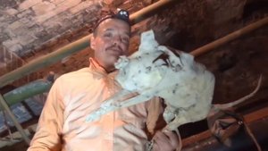 Супер Сус и его кот-мумия