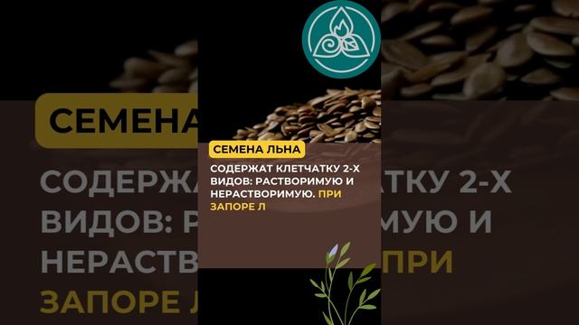 ТОП-5 ПРОДУКТОВ ОТ ЗАПОРА!