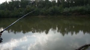 VLOG. Рыбалка на Алее Рубцовск. / Часть 2.