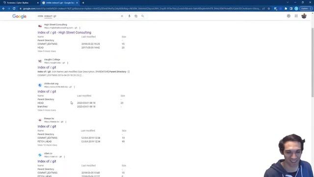 Cyber Skyline Live: Using Git to Find Files (and Secrets) смотреть онлайн