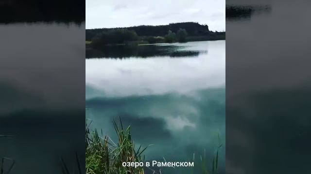 Озеро в Раменском