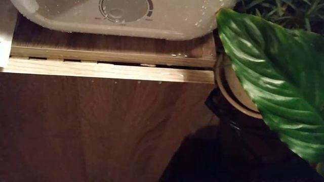 BONECO U200 смотреть онлайн