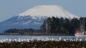 Влияние определённых факторов на Клёв Рыбы. Лучшая погода для Рыбалки