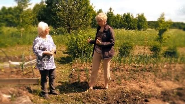Дачные советы 29.06.17