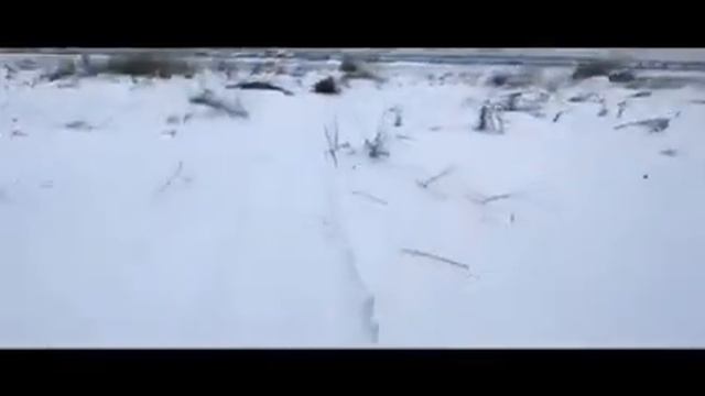 Катанули с братишкой смотреть онлайн