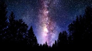 Сергей Яковлевич Лемешев. ария Надира из оперы "Искатели жемчуга"