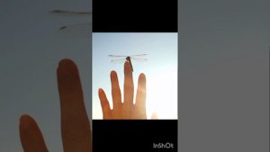 Мастер своей Жизни. 9 продолжение аудио