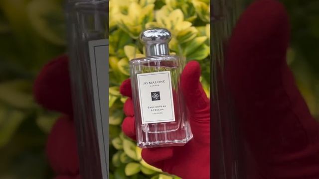 English Pear & Freesia, Jo Malone #селективнаяпарфюмерия #ароматыдляженщин #ароматы