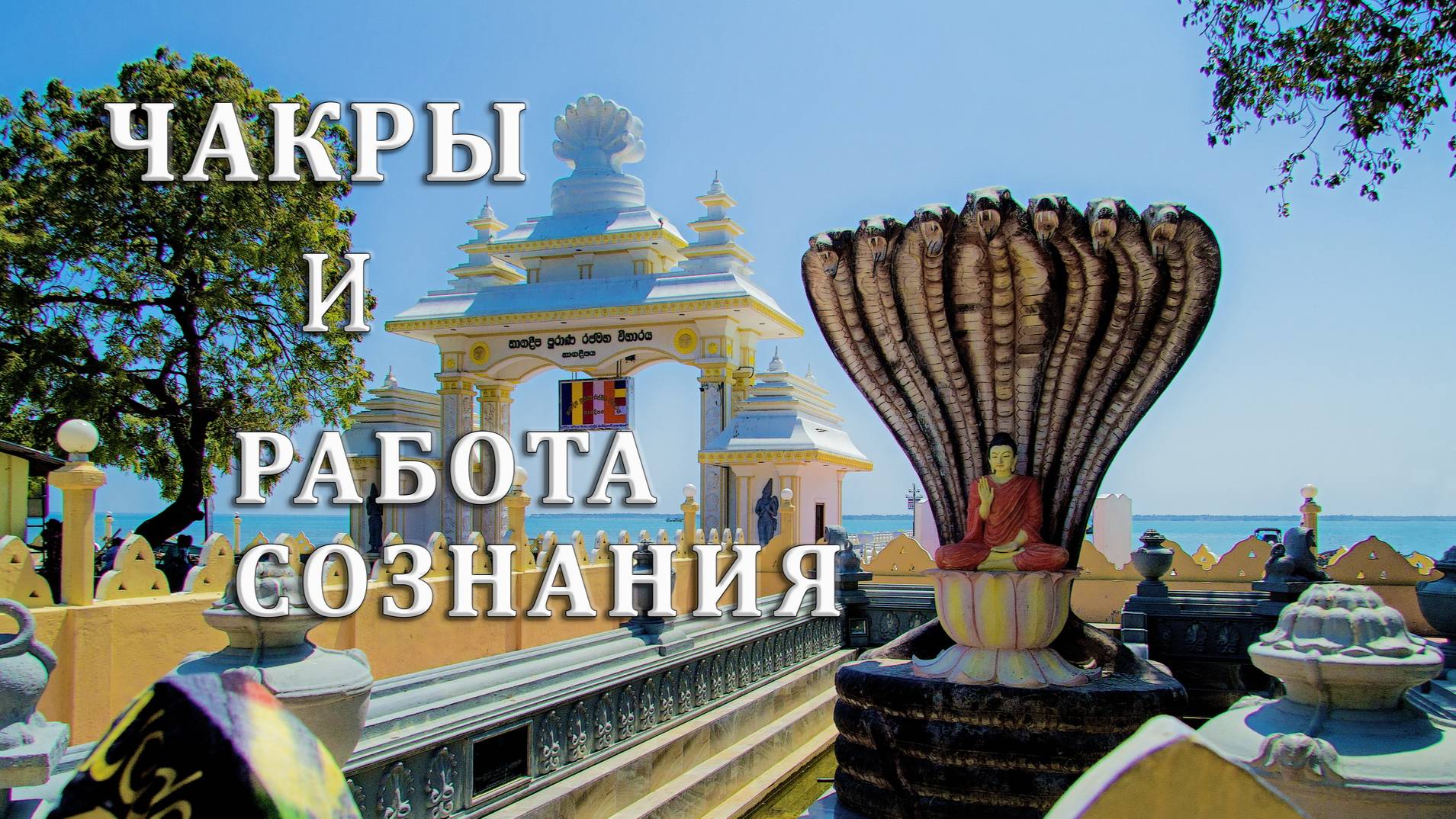 ЧАКРЫ И РАБОТА СОЗНАНИЯ