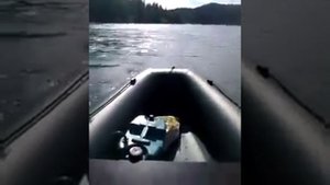 Лодка ПВХ Селенга 360 + Ветерок 12