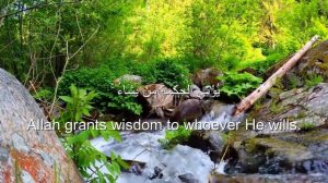 Ахмед Хедр СУРА АЛЬ БАКАРА СТИХ 253 удивительный голос, тающий сердце❤️ Успокаивающее чтение Корана