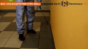 Уничтожение комаров, клещей, мух средством ФАС Альфациперметрин