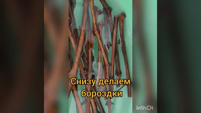 Как укоренить черенки винограда? смотреть онлайн