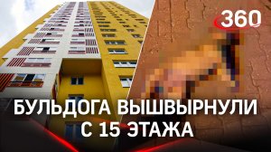 Он - алкоголик, она - риэлтор: бульдога вышвырнули с 15 этажа в подмосковных Мытищах