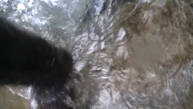 immersion PANAMA JACK - 00011 смотреть онлайн