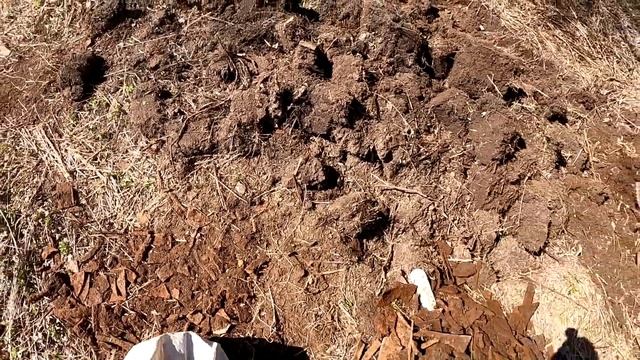 Очередной день самовыживания безработного или стоп донат..