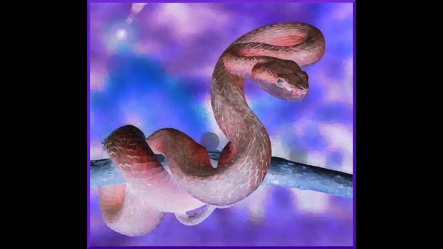 haze valley crows - vipers in the ice смотреть онлайн