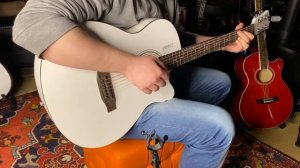 Обзор акустической гитары E4010C WH